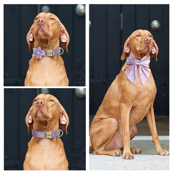 Load image into Gallery viewer, Silk Dreams - Personalised Collar