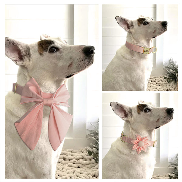 Load image into Gallery viewer, Silk Dreams - Personalised Collar
