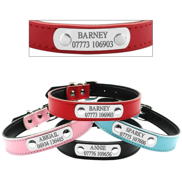 Load image into Gallery viewer, Smug Pug - 2 Piece Set - Personalised Collar & Leash