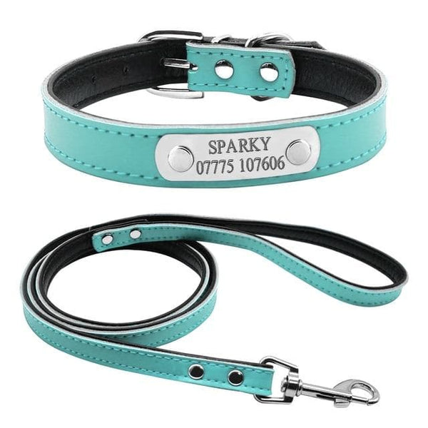 Load image into Gallery viewer, Smug Pug - 2 Piece Set - Personalised Collar & Leash