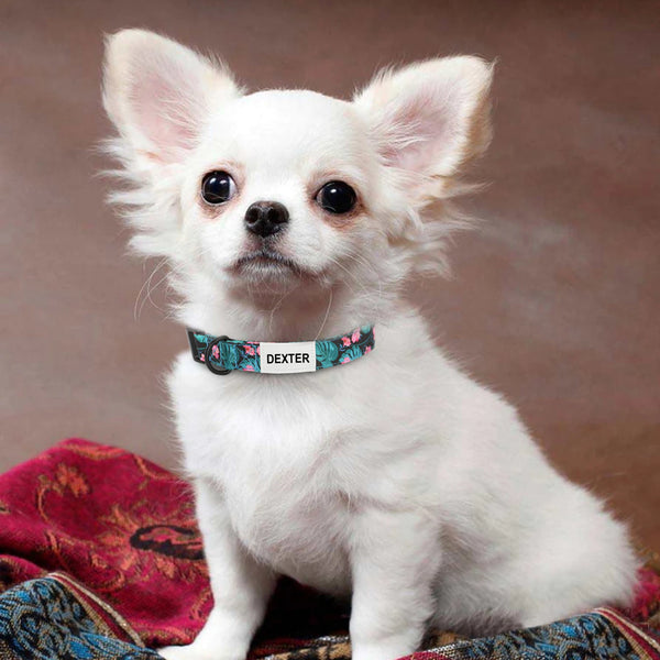 Load image into Gallery viewer, Floral Dream Print - Personalised Collar