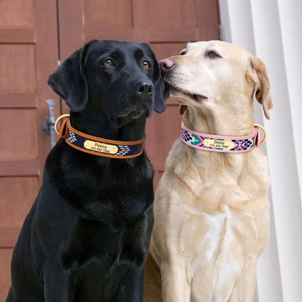 Custom Pet ID tags, Personalised Dog & Cat Collars