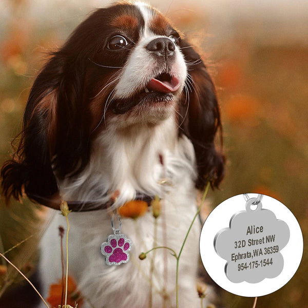 Load image into Gallery viewer, Glitter Paw Rhinestone Pet Tag - Personalised Engraving
