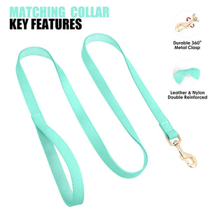 Boardwalk - Leash and Personalised Collar Set