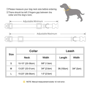 Everyday Itallic - Leash and Personalised Collar