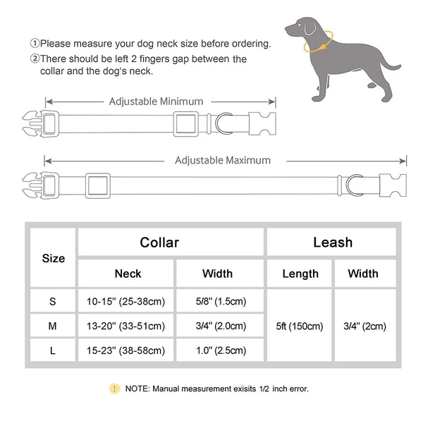 Load image into Gallery viewer, Everyday Itallic - Leash and Personalised Collar
