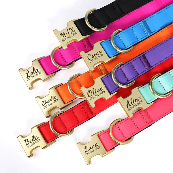 Load image into Gallery viewer, Everyday Itallic - Leash, Poop Bag and Personalised Collar
