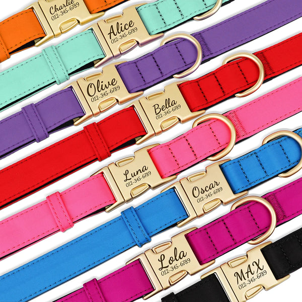 Load image into Gallery viewer, Everyday Itallic - Leash and Personalised Collar
