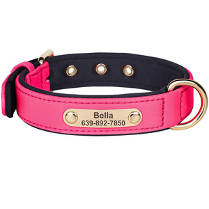The Avenue - Personalised Collar