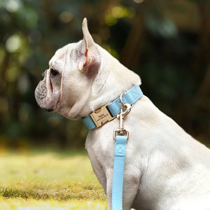 Boardwalk - Leash and Personalised Collar Set