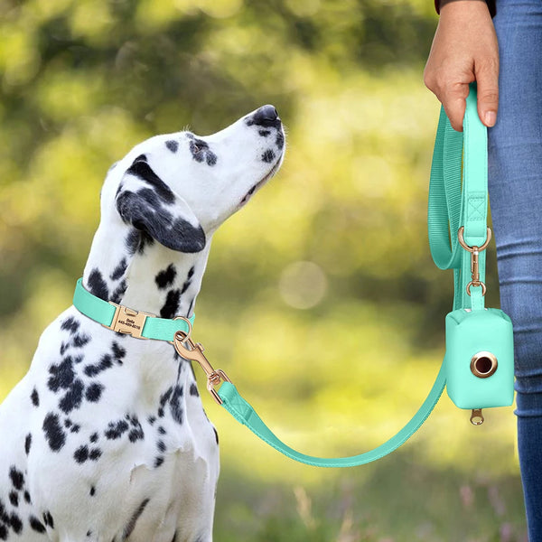 Load image into Gallery viewer, Boardwalk - Leash, Poop Bag Holder &amp; Personalised Collar
