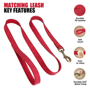 Vintage Bronzed - 2 Piece Set - Leash & Personalised Collar