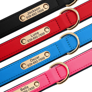 The Avenue - Personalised Collar