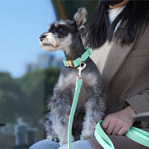 Boardwalk - Leash and Personalised Collar Set