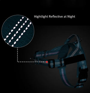 Social Co - Personalised Harness