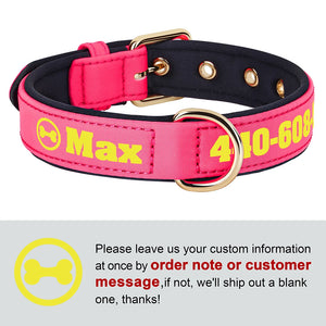 Bold Print - Personalised Collar