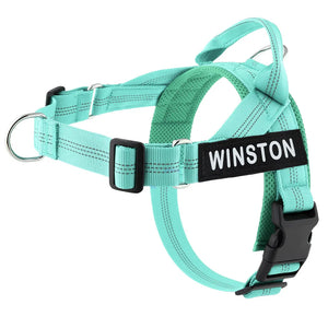 Social Co - Personalised Harness