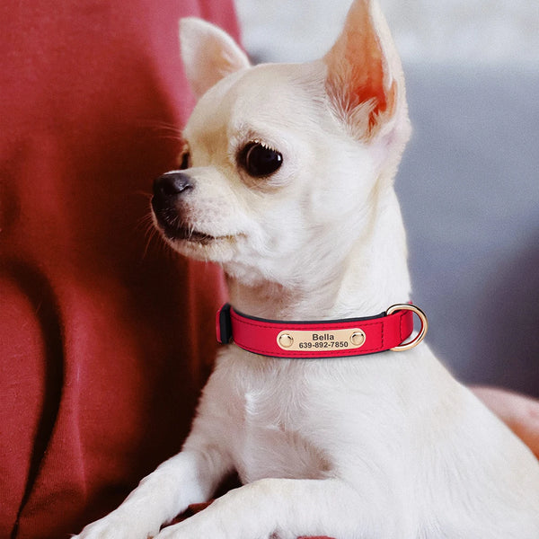 Load image into Gallery viewer, The Avenue - Personalised Collar
