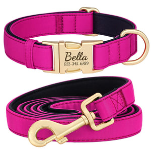 Everyday Itallic - Leash and Personalised Collar