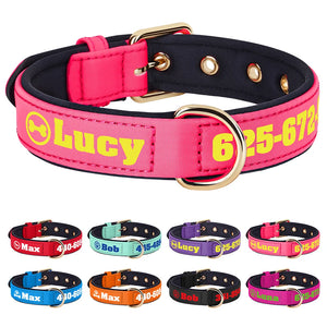 Bold Print - Personalised Collar