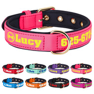 Bold Print - Personalised Collar