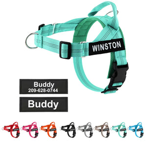 Social Co - Personalised Harness