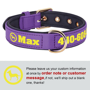 Bold Print - Personalised Collar