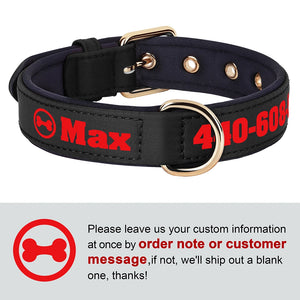 Bold Print - Personalised Collar