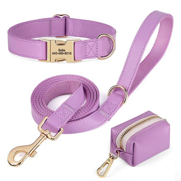 Load image into Gallery viewer, Boardwalk - Leash, Poop Bag Holder &amp; Personalised Collar
