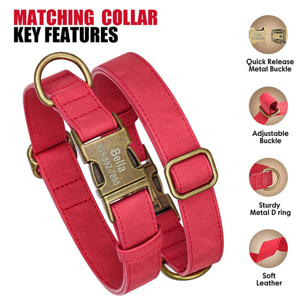 Load image into Gallery viewer, Vintage Bronzed - 2 Piece Set - Leash &amp; Personalised Collar
