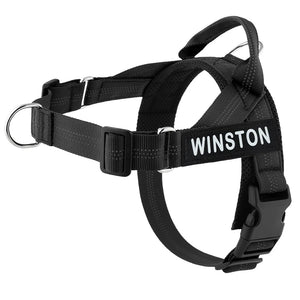 Social Co - Personalised Harness