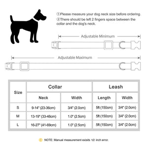 Boardwalk - Leash and Personalised Collar Set