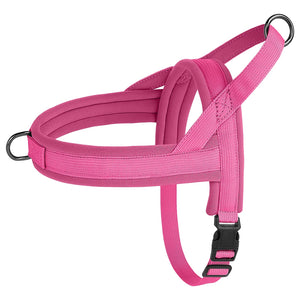 CloudFit Harness
