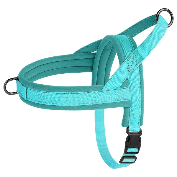 Load image into Gallery viewer, CloudFit Harness
