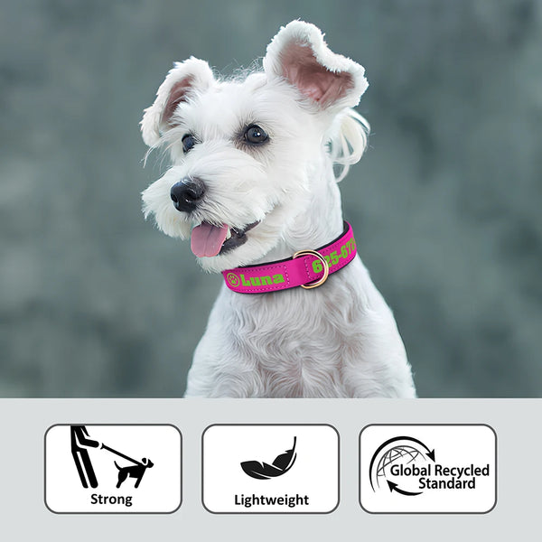 Load image into Gallery viewer, Bold Print - Personalised Collar
