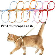 Wander Cat - Cat Harness