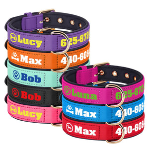 Bold Print - Personalised Collar