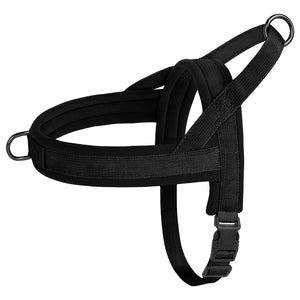 CloudFit Harness