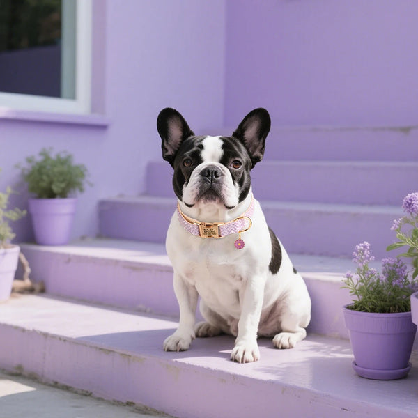 Load image into Gallery viewer, Daisy Chain - Personalised Collar
