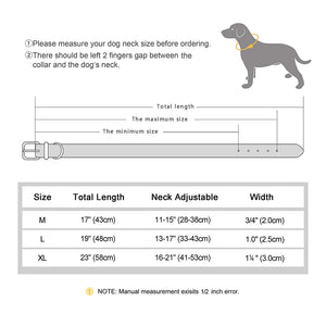 Air Tag Collar