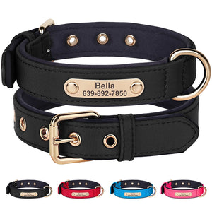 The Avenue - Personalised Collar