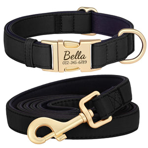 Everyday Itallic - Leash and Personalised Collar