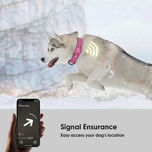 Air Tag Collar