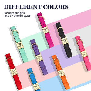 Everyday Itallic - Leash and Personalised Collar