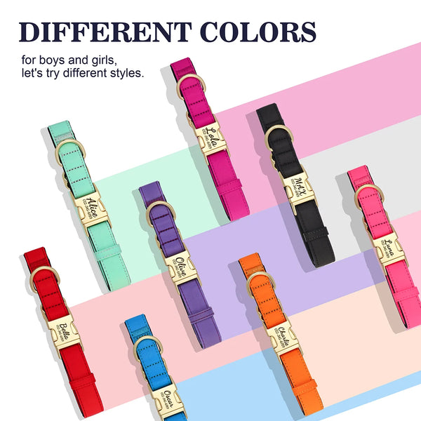 Load image into Gallery viewer, Everyday Itallic - Leash and Personalised Collar
