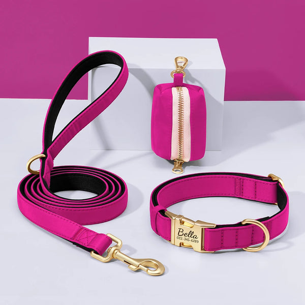 Load image into Gallery viewer, Everyday Itallic - Leash, Poop Bag and Personalised Collar
