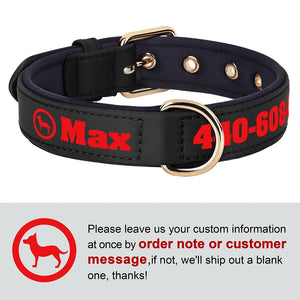 Bold Print - Personalised Collar