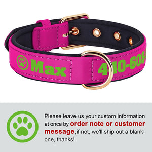 Bold Print - Personalised Collar