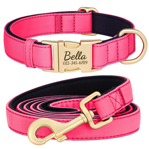 Everyday Itallic - Leash and Personalised Collar