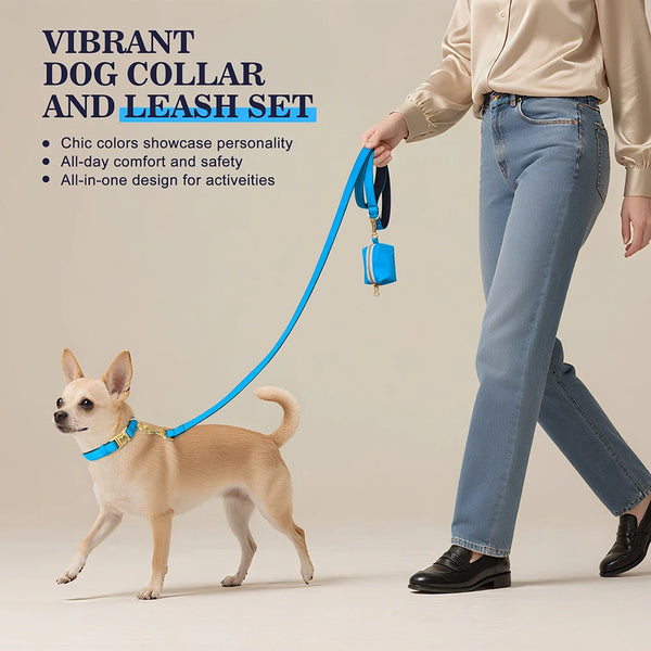 Load image into Gallery viewer, Everyday Itallic - Leash, Poop Bag and Personalised Collar
